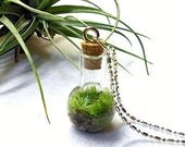 Terrarium Pendant Necklace, Terrarium Necklace,  Birthday Present, Gift for Her, Unique Gift, Gift Guide