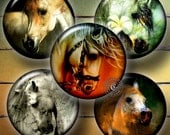 Horse - Digital Collage Sheet CG-661C for Scrapbooking, Resin and Glass Pendants, Bottle Caps