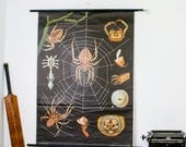 ON SALE Vintage School Chart,Spider German School Chart Jung Koch Quentell