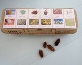 Party Pack- Montessori Nature Scavenger Hunt Collection