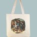 Alice with Wonderland Dodo Bird 15x15  Canvas Tote - other sizes available