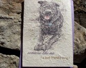 someone like me ( a best friend's song ) dog love