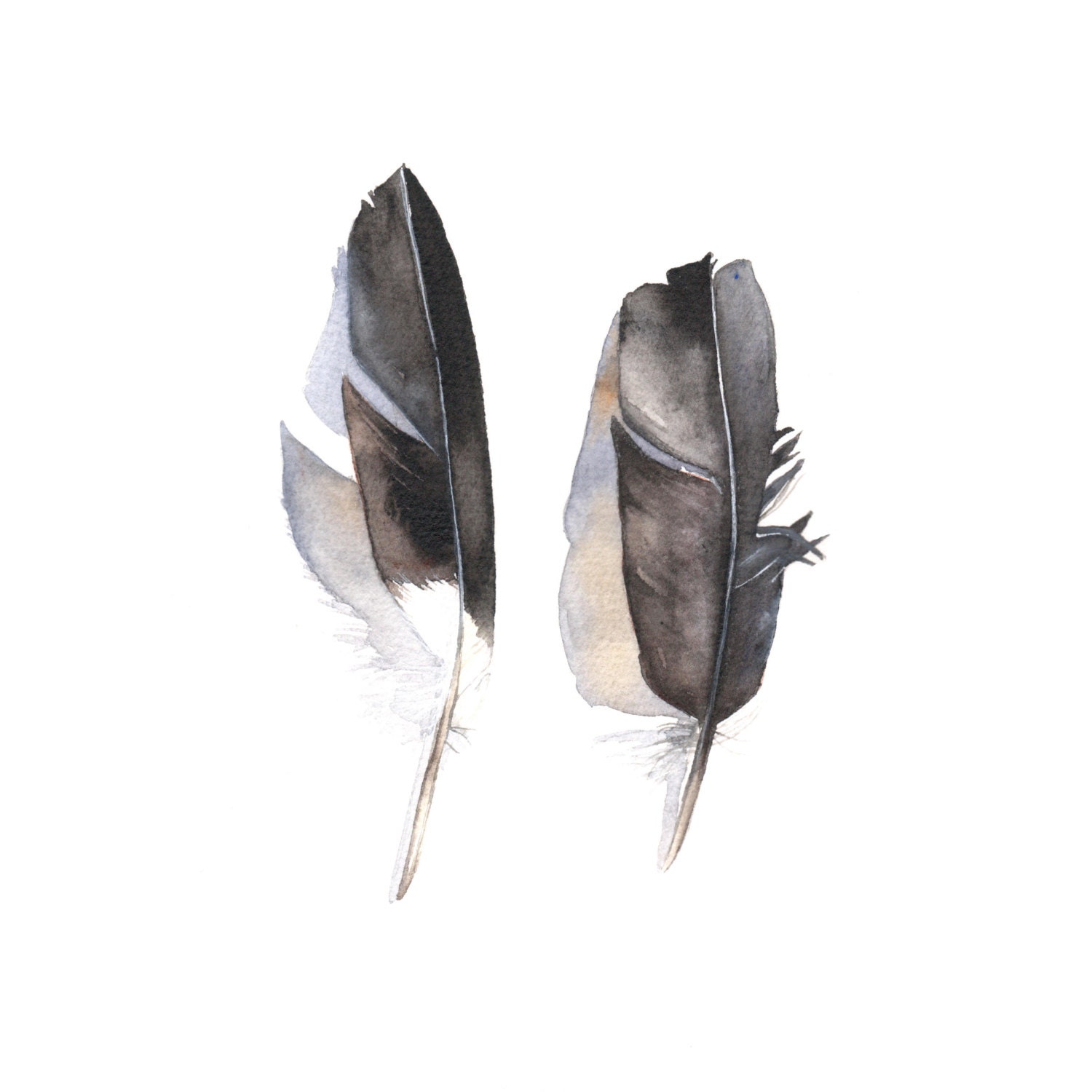 Black Feather watercolor painting ORIGINAL Watercolor painting- A5