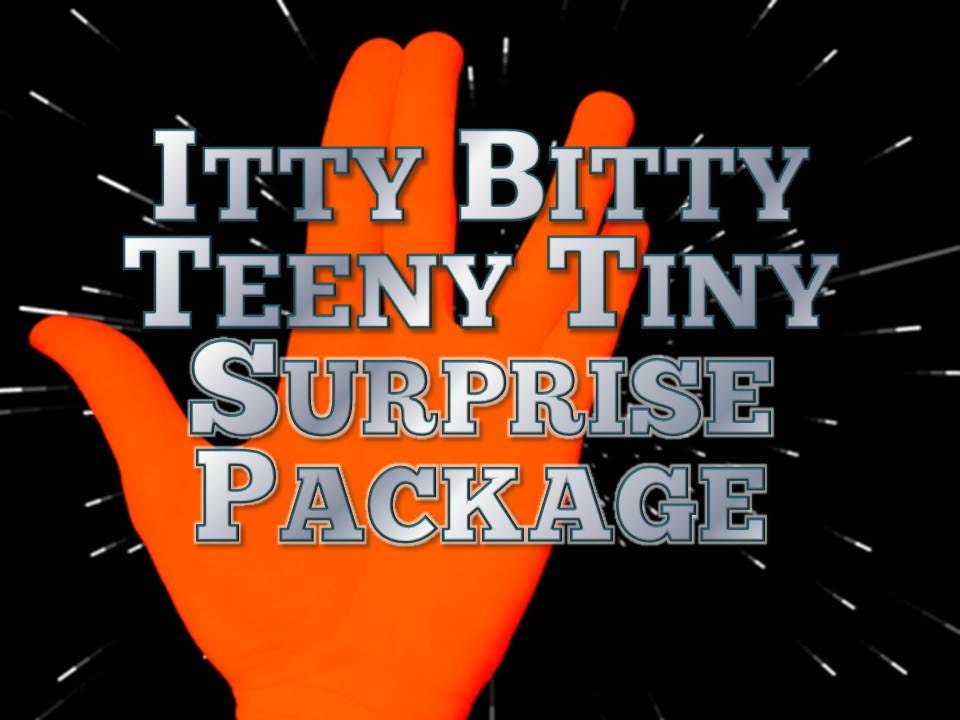 Itty Bitty Teeny Tiny Surprise Package for SciFi Lovers -Trekkie Inspired Present, Snail Mail Gift