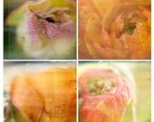 Macro Flower Photograph - "Frosty Spring" 4  5 x 5 Fine Art Print Metallic Vintage Feel Macro Flower Water Drop Shabby Chic Photograph