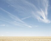 Wheat Field Sky Photography Print 11x14 Fine Art New Mexico Minimalist Southwest Spring Landscape Photography Print.
