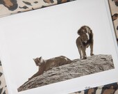 LION Card, Inspirational words, inspirational card, Blank greeting card, African card, Greeting card, animal card, safari card