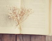 Beige dried flower print- cream, vintage book, white, neutral colors, floral, spring,  romantic, rustic, 8x10 print, fine art photography - dullbluelight