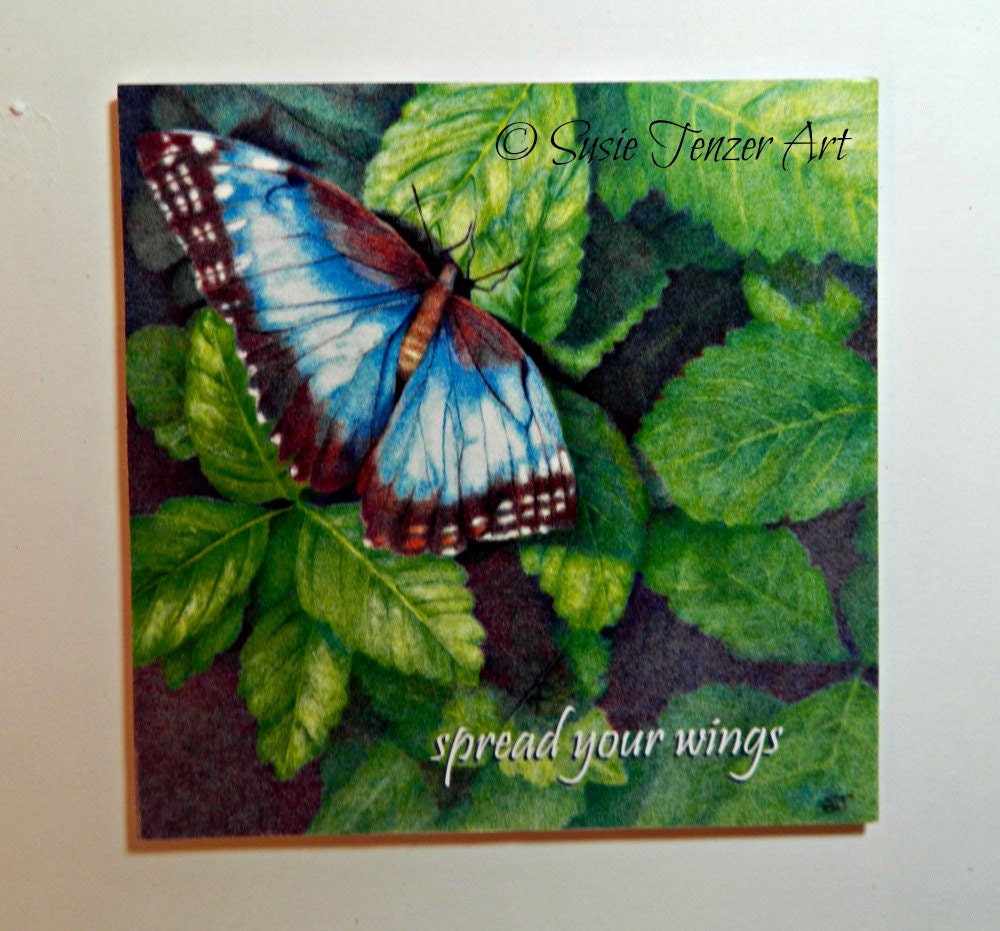 Fine Art Print Blue Butterfly Ready To Hang 6 x 6