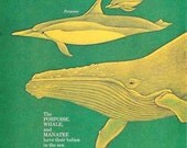 Vintage Print - Animals, Baby Decor, Nursery, Ocean, Green Whales, Underwater