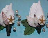 Seashell starfish pearl beach wedding boutonniere bout looks like a rose