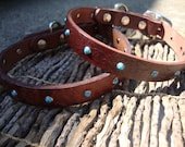 Custom Sized 3/4" Chocolate Brown Leather dog collar. Embossed Daisy Design with Turquoise Rivets. Small, or Medium.