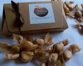 Pastillas de Leche Original Sampler (Half a pound)