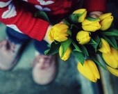 valentine gift, valentine photo, red hearts, dreamy, yellow, white, pink, tulips, shoes, girls - A Gift, 8x12 art photograph print