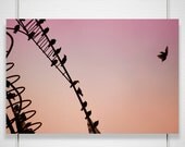 Sunset Bird Photography - 8x12 black bird - silhouettes shadows pink sky taking flight dreamy wall room decor 'Room For One More'