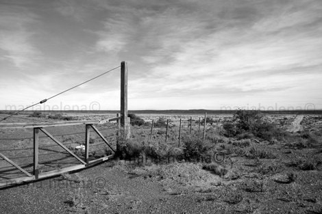 wild south , black and white photograph - Southern Argentina landscape black and white photography - pampas landscape photo black and white