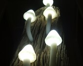 Magical Mushrooms. Shroom and Driftwood l.e.d. Mood Lighting Sculpture.