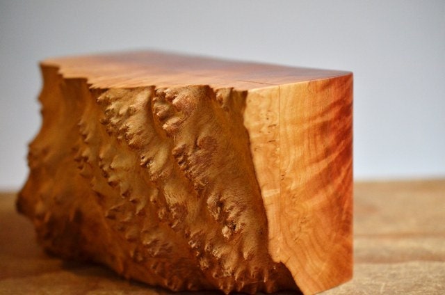 Eccentric Aunty Mallee Burl box with let-your-hair-down colourful sculptured glass drawer knobs