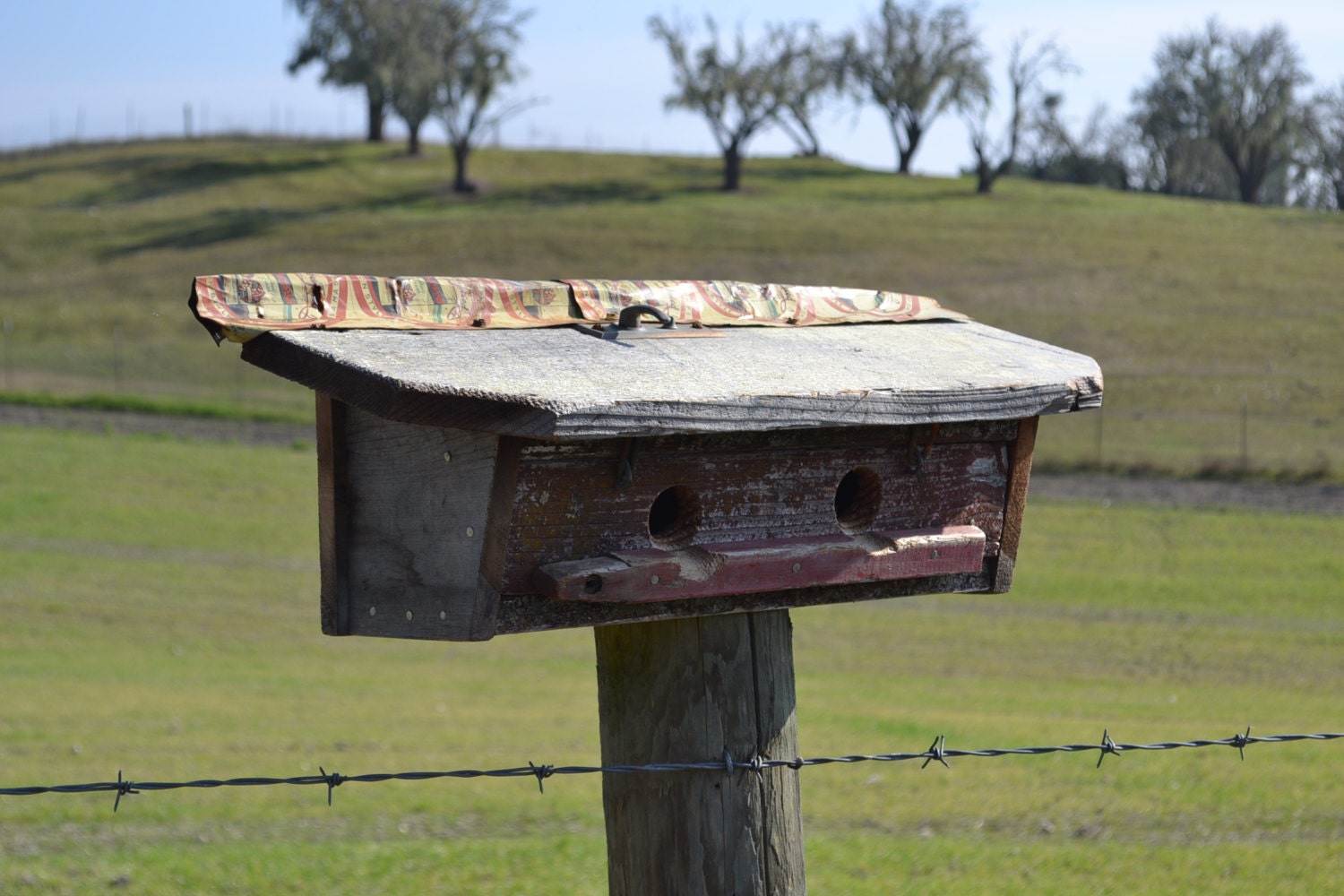 Rustic Barn Wood Bird House. Double Holes With an Old Latch that Opens the Bird House.