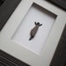 Pebble Art of NS by Sharon Nowlan