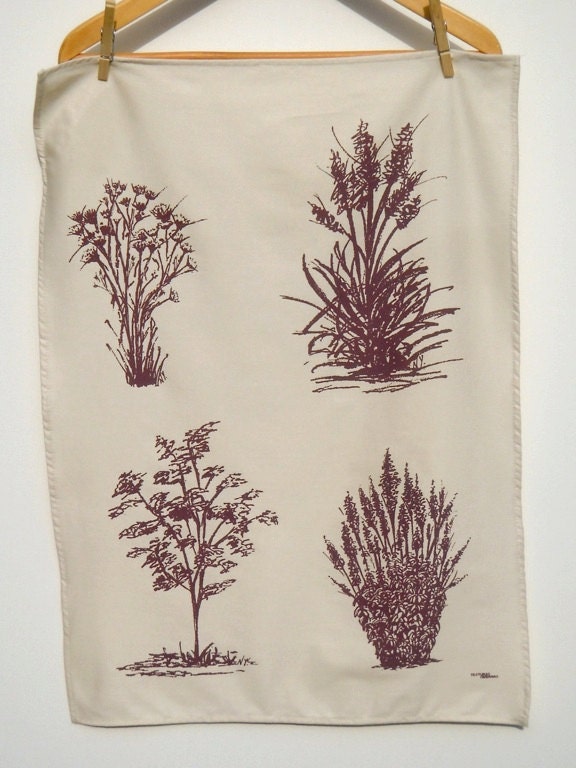 TEA TOWEL Sketch drawing  (19" x 27")