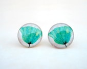 Dandelion Stud Earrings in Turquoise Aqua Marine, Cute Medium Earrings