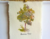Quince Tree Art Print on Handmade Paper from Original Illustration