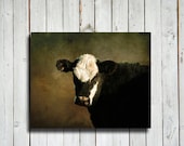 Cow - Cow decor - Cow photography - Cow canvas - Cow art - Country decor - Country art - Farm decor - Farm art - Canvas