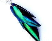Real Beetle Wing Necklace 18" - Elytra Beetle Wings, Beetle Jewelry, Beetle Necklace, Taxidermy