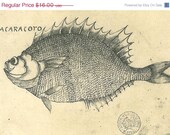 Fish Vintage Print Illustration Frei Cristovao de Lisboa