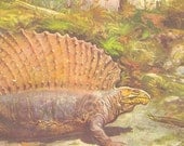Edaphosaurus, Prehistoric  Lizard, Natural History Vintage Print 1960s