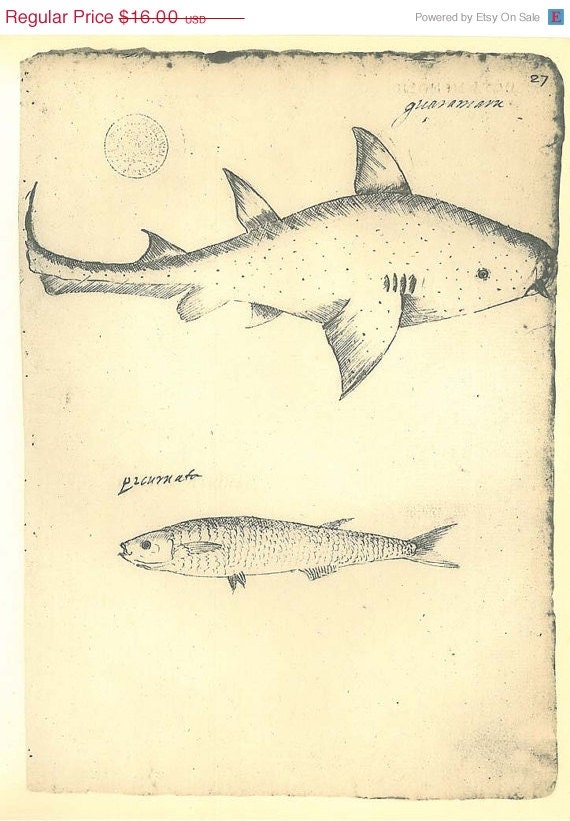 Vintage Fish Print  Sketch Drawing  Maranhao  Brazil Frei Cristovao