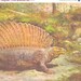 Edaphosaurus, Prehistoric  Lizard, Natural History Vintage Print 1960s