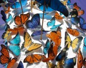 Bright Butterflies - Set of 18 Edible Pre-Printed Wafer Paper Cutouts