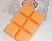 Hawaiian Breeze breakaway melts, candle tarts