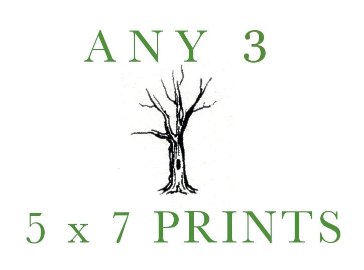 SALE - 15% OFF - Pick any Three 5 x 7 Prints