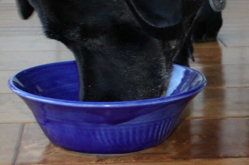 Two Royal Blue Textured Pottery snack or serving bowls.  Set of two handmade ceramic bowls.
