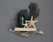 Small Natural Driftwood Shelf