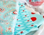 Designer Fabric Baby burp cloths -  Blue & Red