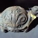 Celtic Turtle, Wonderful in home or out. Will not run away.