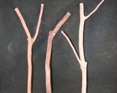 Manzanita Single and Multibranch Bird Perches, Set of Three with Hardware