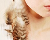 Feather Hair Extension - Little Zebra