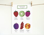 Spring Fruits Kitchen Art Poster - 13x19 Giclee art print of original illustration - French Retro Kitchen home decor botanical Gift for her