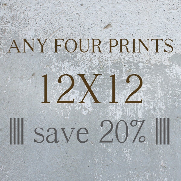 DISCOUNT SET - Any 4 Prints - Four 12x12 - Save 20% - You Choose any Photos or Watercolors