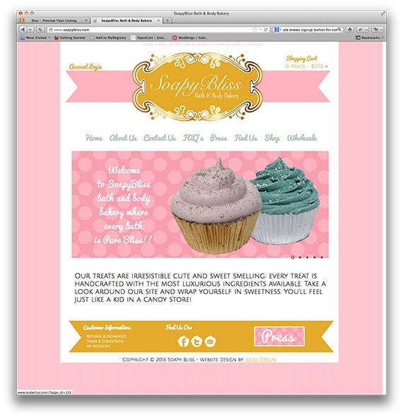 Need a Wordpress Website, Professional Custom Website or Blog Design CMS, 5 pages.