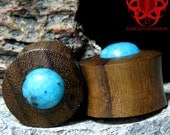 3/4" Turquoise Sono Wood Ear Plugs Gauges Piercing