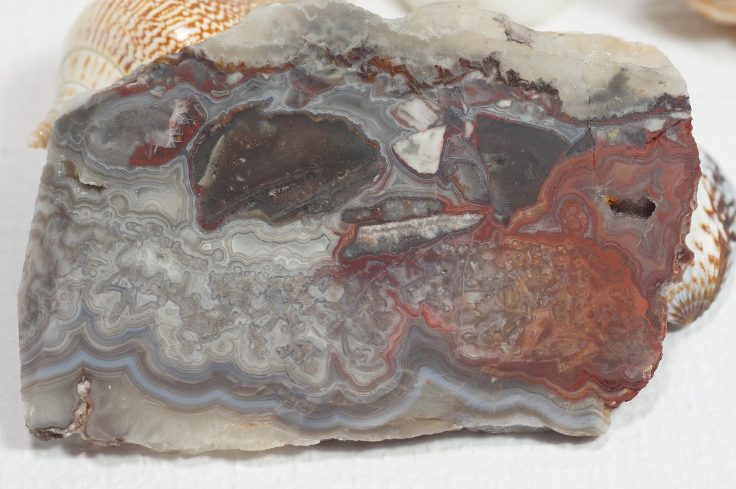 Laguna Lace Agate Slice 3 3/4"x2 1/2"x1/4" inch Natural Gemstone Slab Raw Agate Slice