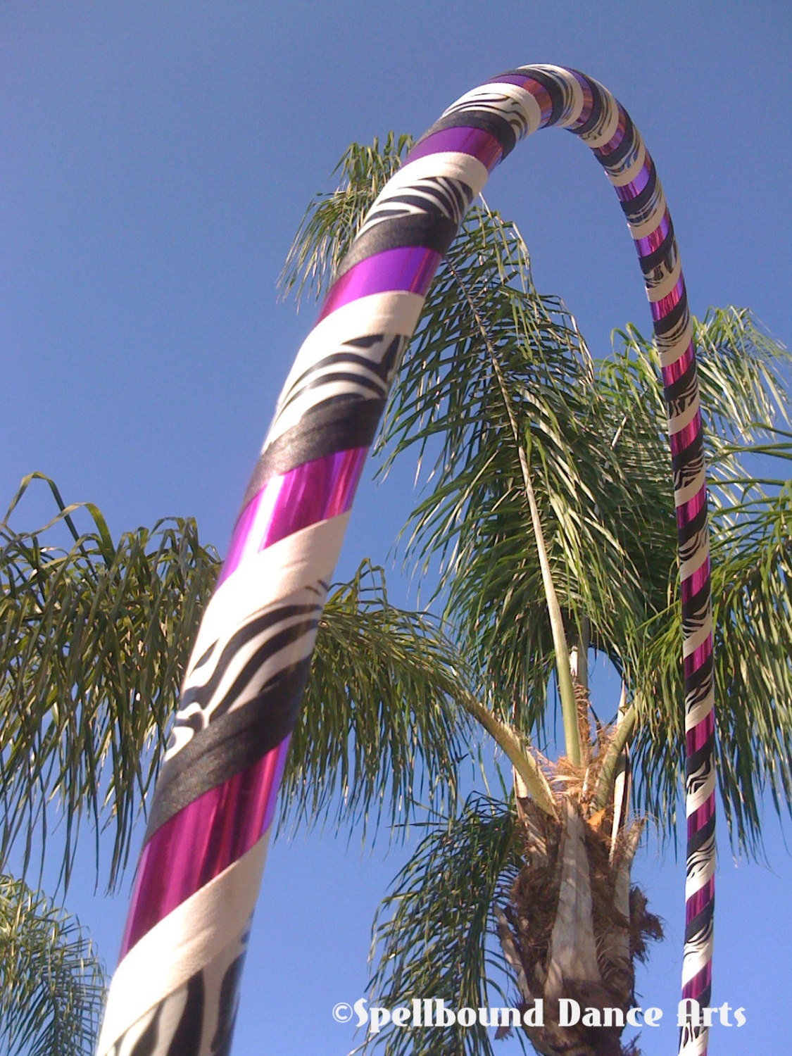 SALE - SASSY ZEBRA in Fuchsia - In Stock Hula Hoop - 38 Inch Dance Weight
