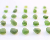Sea Glass Collection in a Shadow Box - You Choose