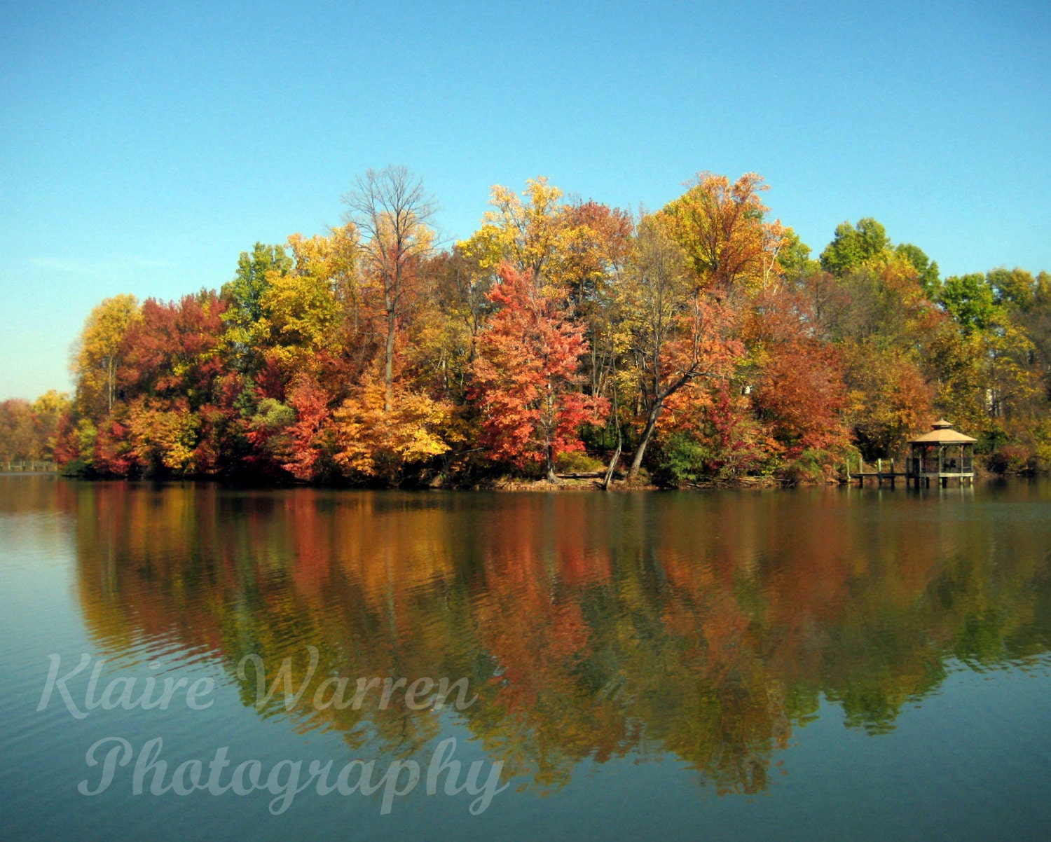 Foliage along the Lake, Largo, Maryland Photography Print By Klaire Warren 8X10 Matted 11X14 Inspirational Artwork for the Home